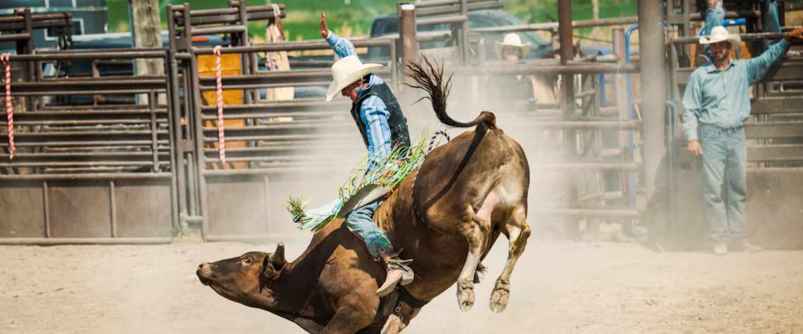 Rodeo Scottsdale