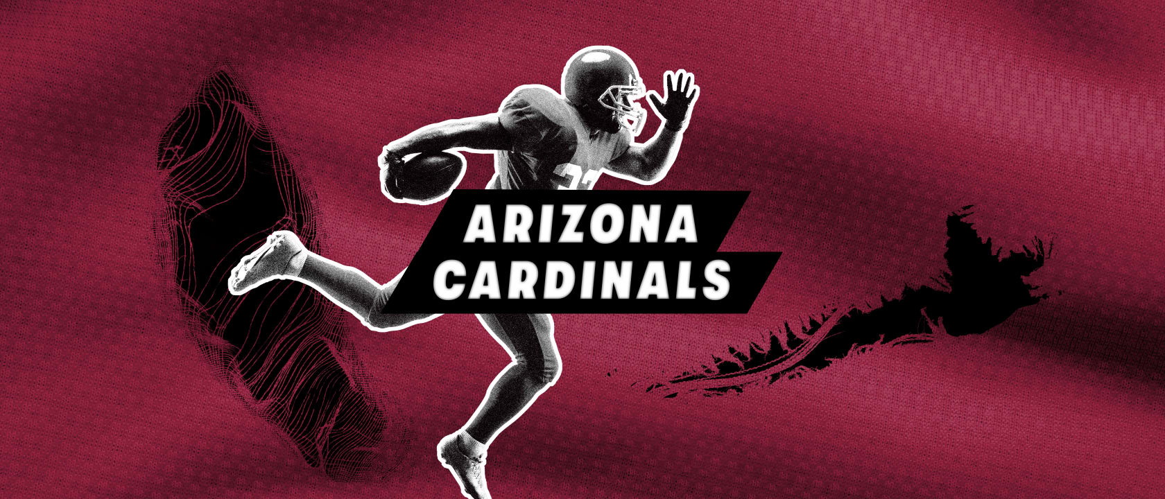 Arizona Cardinals Tickets 2025 Vivid Seats