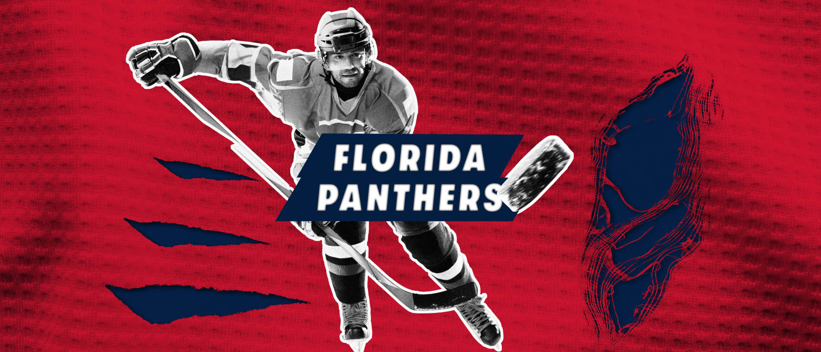Florida Panthers Tickets & 2025 Panthers Games Vivid Seats