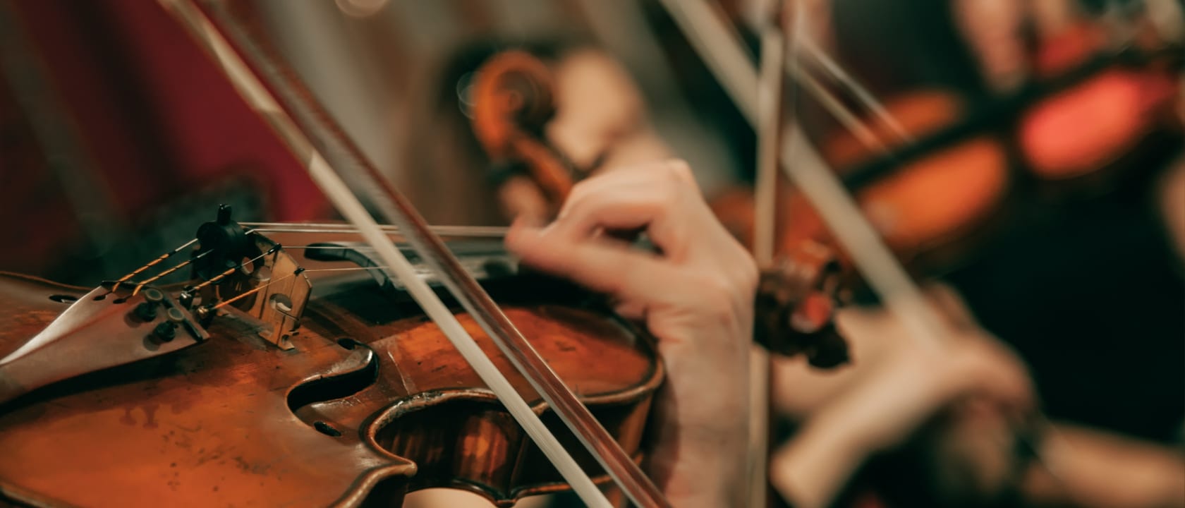 Venice Baroque Orchestra