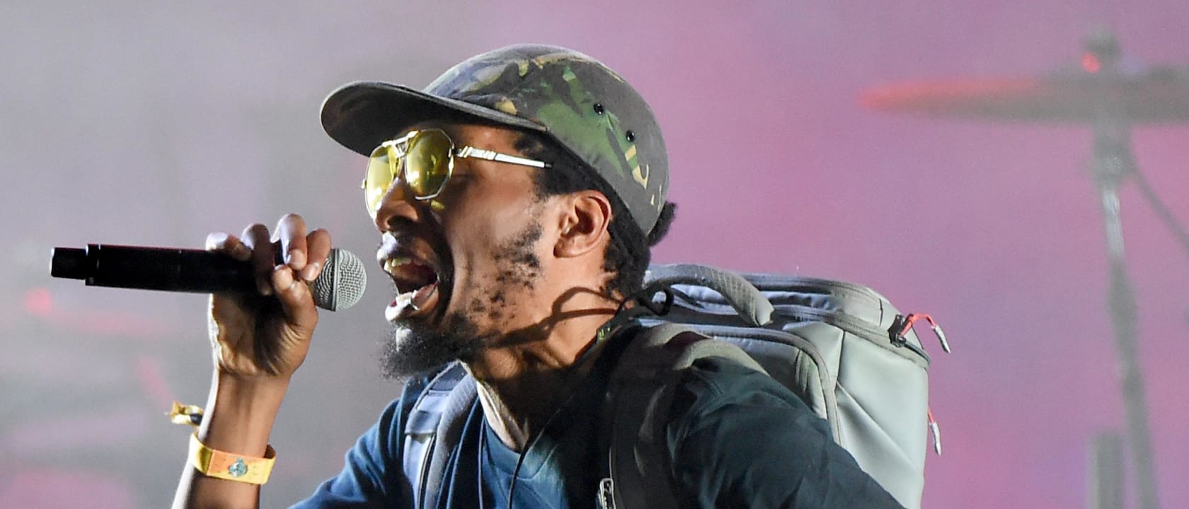 Del the Funky Homosapien