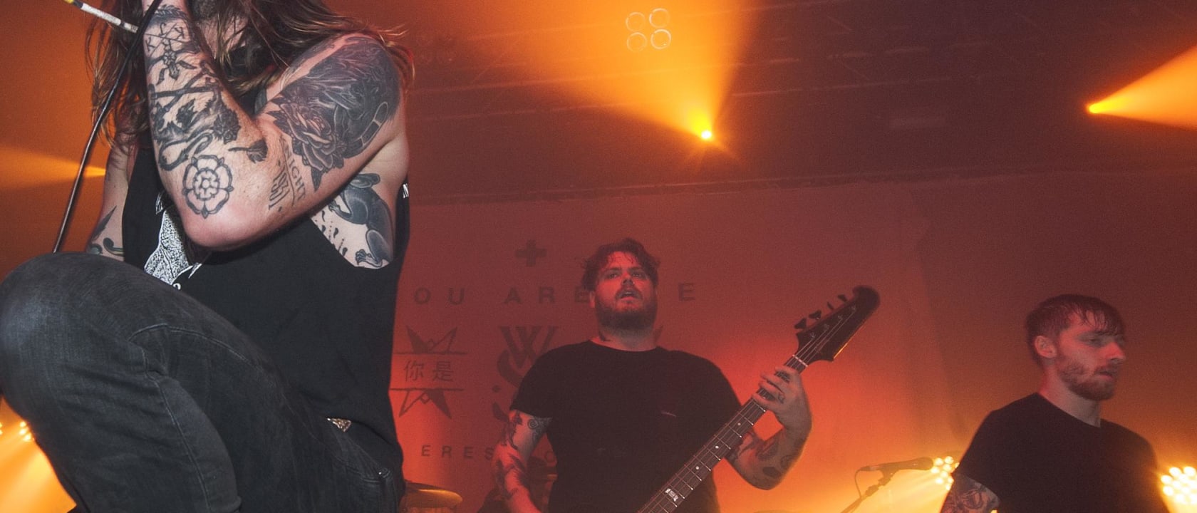 While She Sleeps