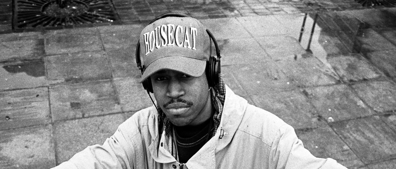 Felix da Housecat