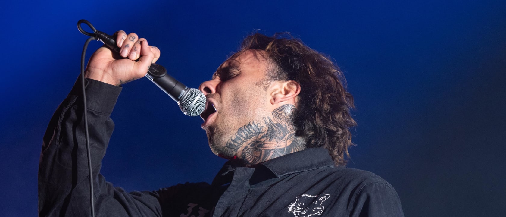 The Fever 333