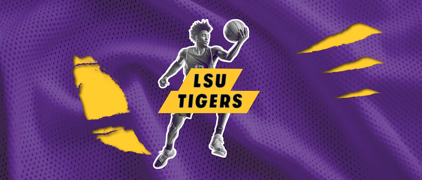 LSU Tigers Mens Basketball