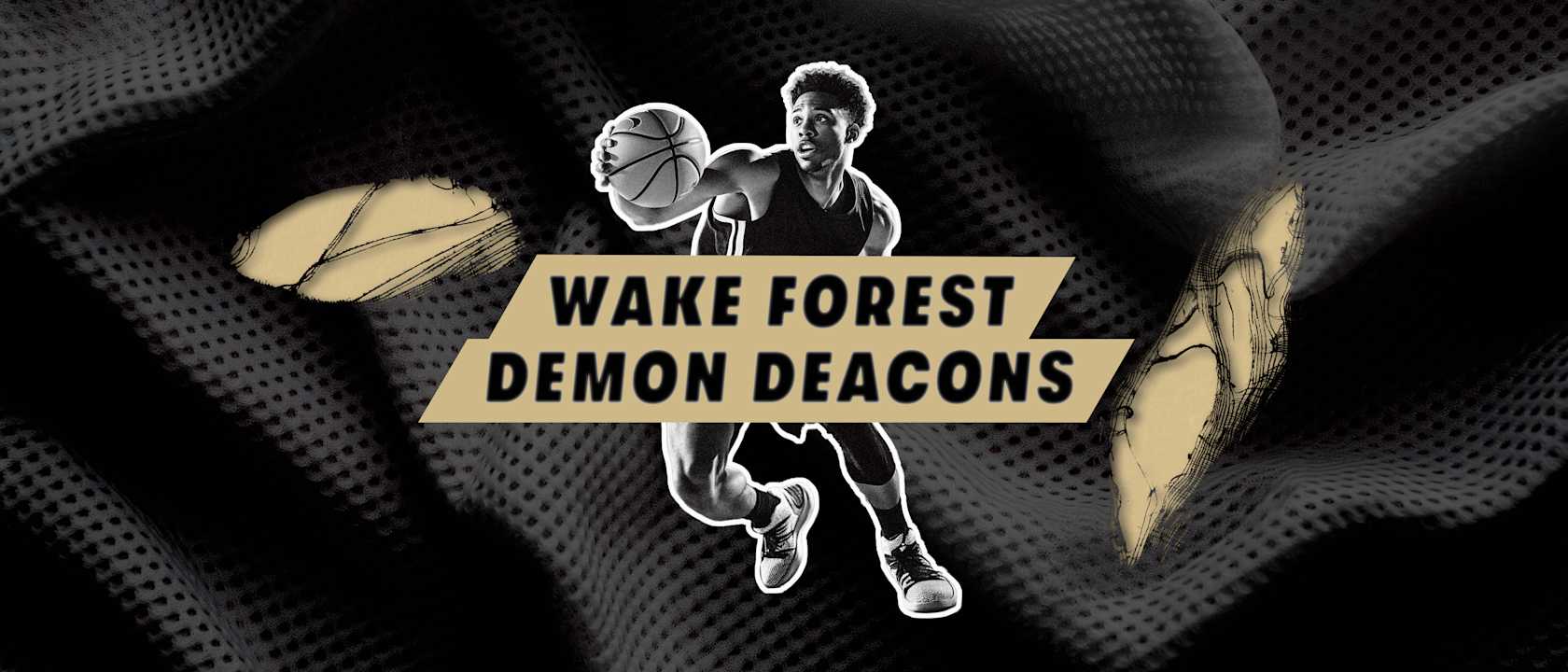 Wake Forest Demon Deacons Mens Basketball
