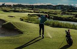 Perfomer 140302 Image