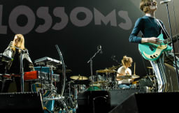 Perfomer 51849 Image