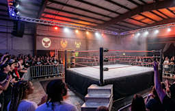 Perfomer 145226 Image