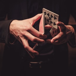 performer-image