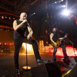 Disturbed