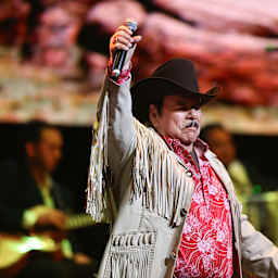 Palomazo Norteno