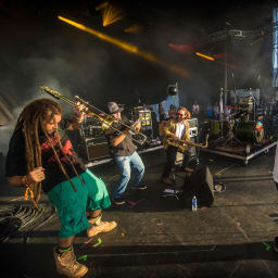 Tribal Seeds