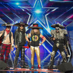 Metalachi