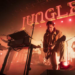 Jungle