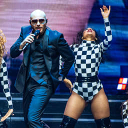 Pitbull