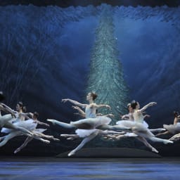 The Nutcracker