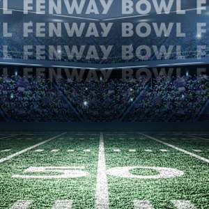 Fenway Bowl Image