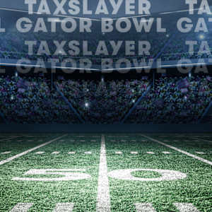TaxSlayer Gator Bowl Image