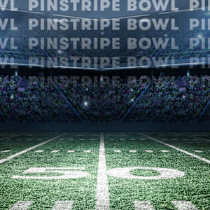 Pinstripe Bowl Image