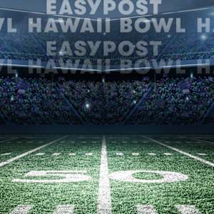Hawaii Bowl Image