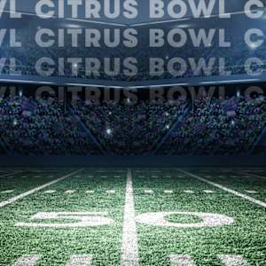 Citrus Bowl Image