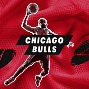 Chicago Bulls Parking Image
