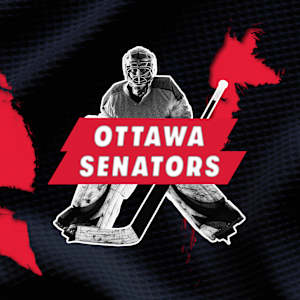 Ottawa Senators Parking Image