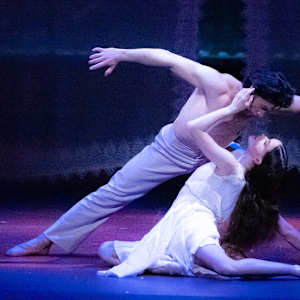 American Ballet Theatre Image