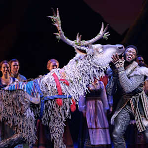 Frozen - The Musical Image