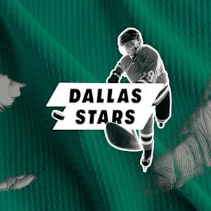 Dallas Stars Image