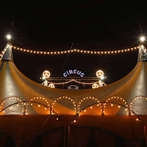 Enchanted Holiday Circus Image