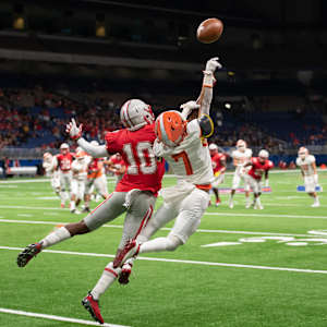 Nashville Kats Image