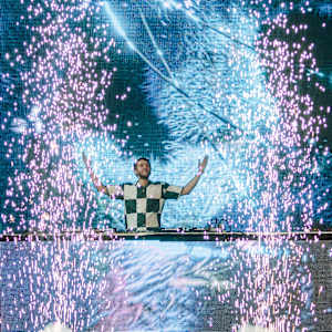 Zedd in the Park Image