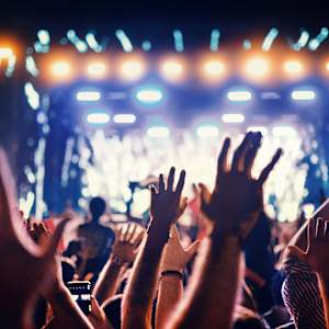 Coors Light Birds Nest Image