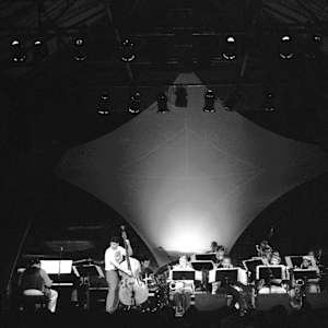 Mingus Big Band Image