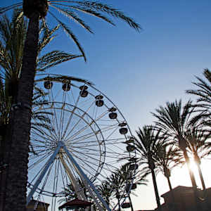 Coachella Music Festival Shuttle Passes Image