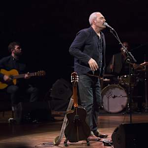 Tindersticks Image