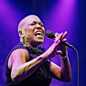 Dee Dee Bridgewater Image