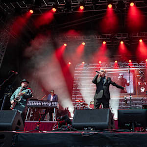Madness Image