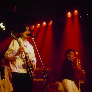 The Blow Monkeys Image