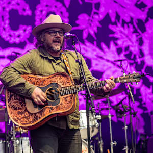 Wilco Image