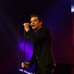 Brandon Flowers Image
