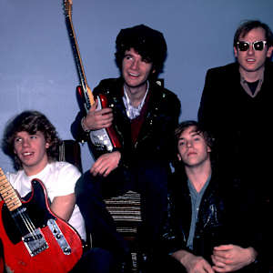 The Del Fuegos Image