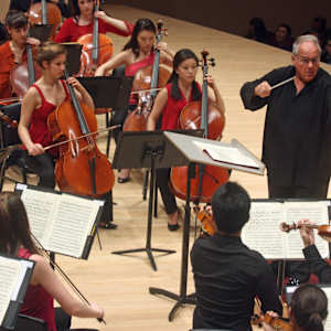 New York String Orchestra Image