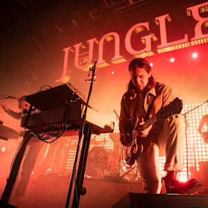 Jungle Image