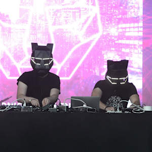 Black Tiger Sex Machine Image