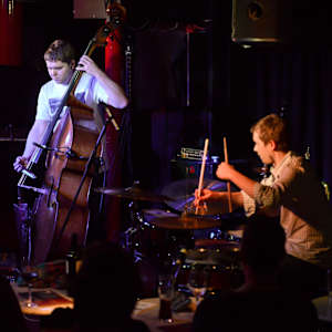 Gogo Penguin Image