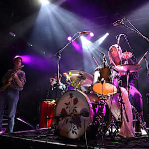 Whitney Image
