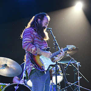 The Terrapin Family Band Image